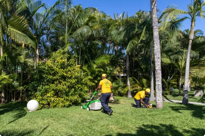 Service Entretien des espaces vert réunion-1-1